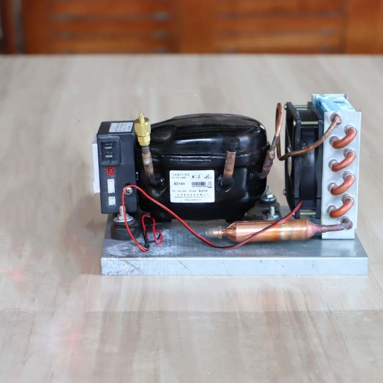 BD15HC Mini Yoğuşturma Ünitesi - Air Compressor Mini incelemesi ve fiyatı