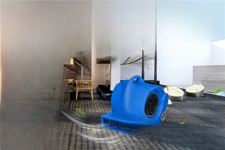 Mobil halı ve zemin kurutucusu - Power Tools Mall incelemesi ve fiyatı